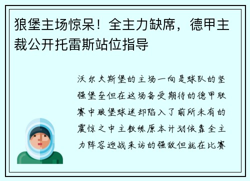 狼堡主场惊呆！全主力缺席，德甲主裁公开托雷斯站位指导